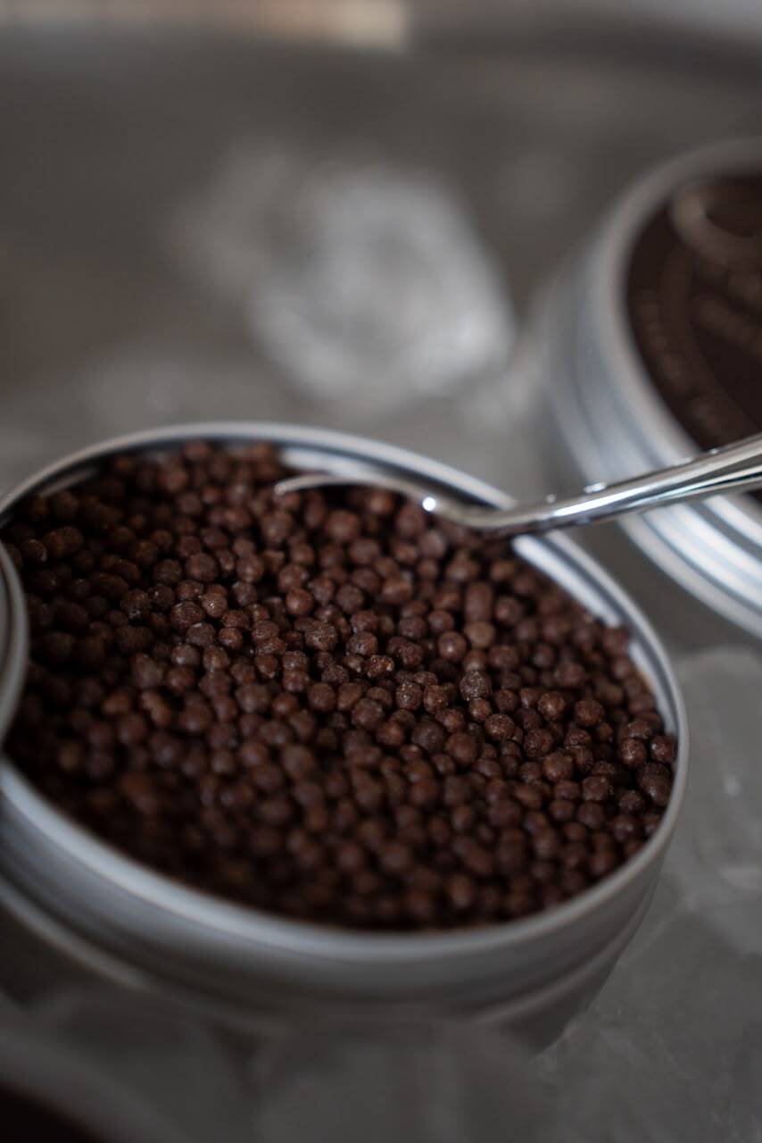 Caviar Chocolate Close-Up